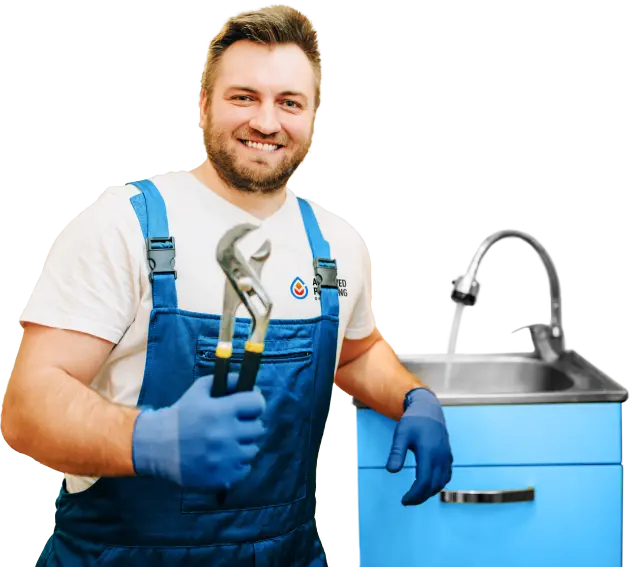 Professional Plumber